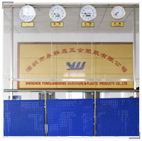 Shenzhen Yongliansheng Hardware & Plastic Products Co.,Ltd