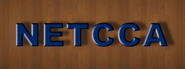 Netcca Electrical Power Co., Ltd