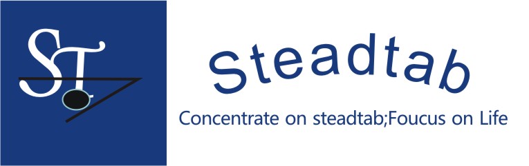 HongKong Steadtab Technology Co.,Ltd  