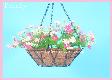 Hanging  Flower Basket