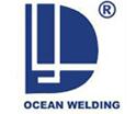 Linan Dayang Welding Material Co.,Ltd
