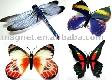 Butterfly Fridge Magnet