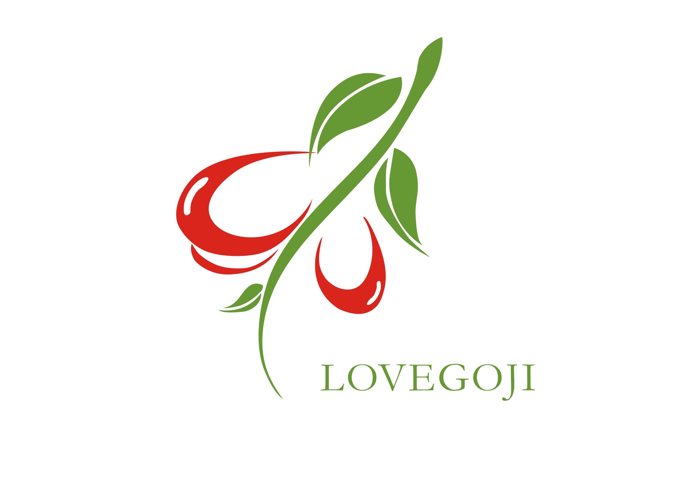 Ningxiia Love Goji Biotechnology Development CO.,LTD