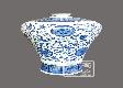 blue and white porcelian vase 