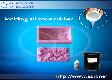 Silicone Rubber for soap molds