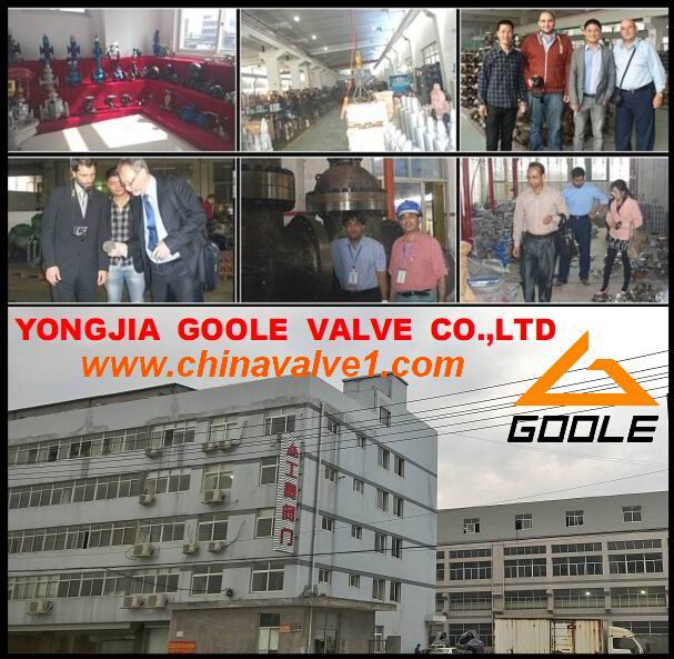 China Yongjia Goole Valve Co.,Ltd