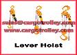 Lever chain hoist advantages a