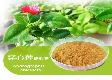 Andrographis herb Extract