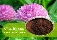Red Clover Herb Extract