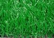 High-quality artificial turf 