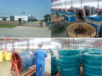 Shandong Dagong Rubber Co., Ltd.