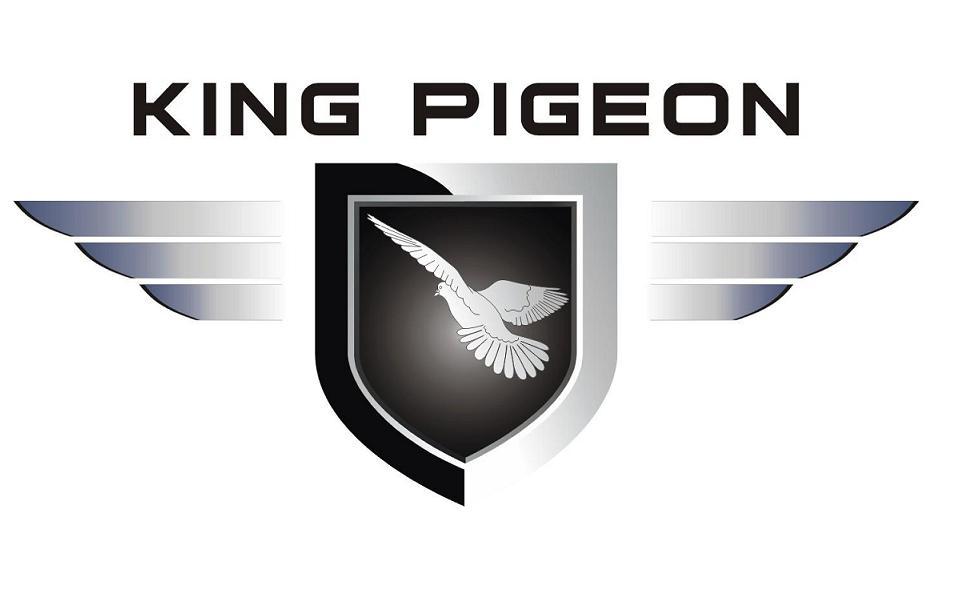 King Pigeon Hi-Tech.Co.,Ltd