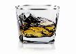 Whiskey Glass Cup