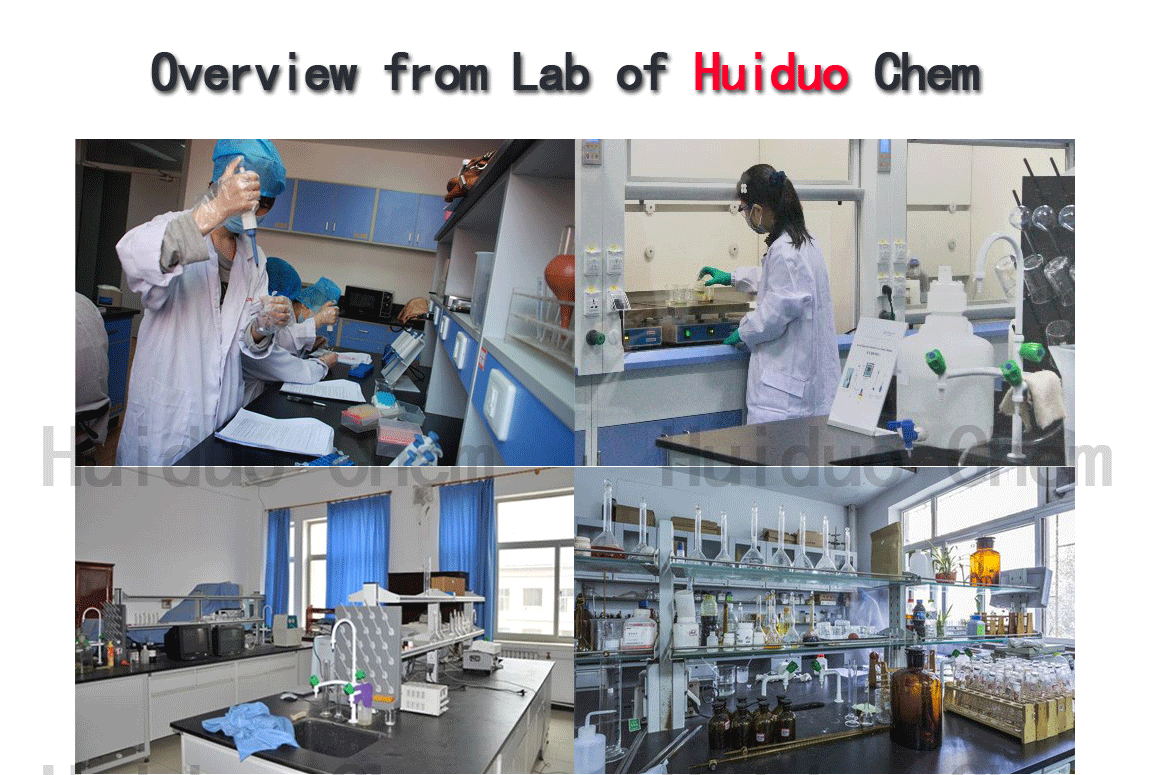 Hebei Huiduo Chemical Material Co.,LTD