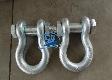  Hot Forged D Shackle