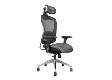 Ergonomic Mesh Chair   LM5889AX-A