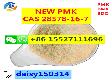 Powder Pmk Oil CAS *-16-7